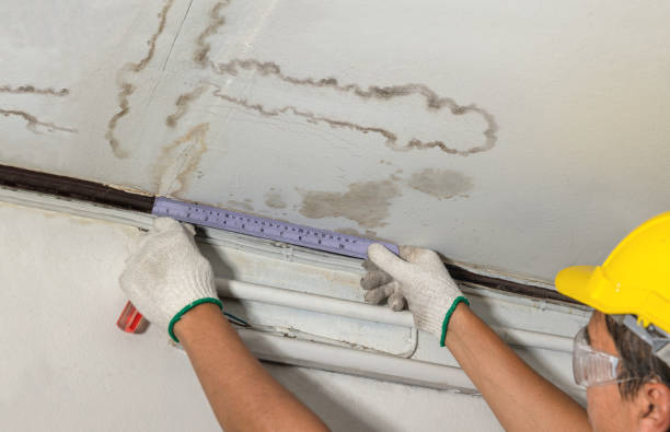 Reliable Structural Drying contractor in Syracuse, KS by Water Damage Irwin